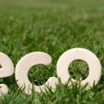 Eco-friendly practices for life and beyond