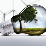 iStock_000007618481XSmall Biodegradable urns - a clear eco-friendly alternative