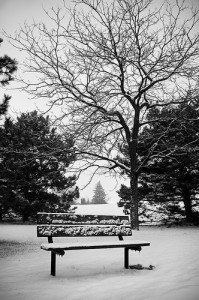 lonely winter Photo by Benson Kua