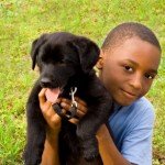 Pet_Loss Explaining Pet Loss - a guide for parents