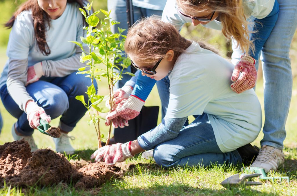volunteering, charity, people and ecology concept - group of happy volunteers planting tree in park