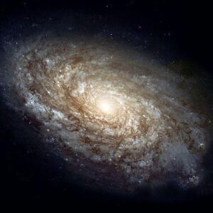 space funerals