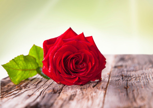 A Memory Every Day: Two Beautiful Examples of Final Wishes That Never Stopped Arriving